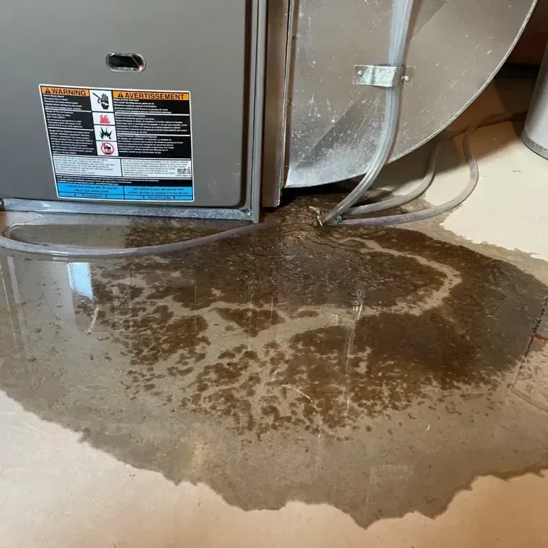 Appliance Leak Cleanup in Auburn, IN